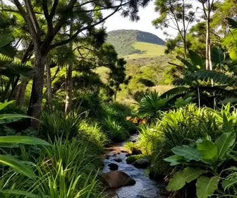 Descubra as Melhores Trilhas Ecológicas no Crato – CE Descubra as Melhores Trilhas Ecológicas no Crato - CE
