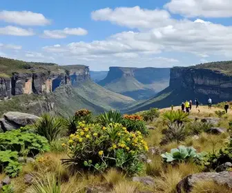 Descubra as Nascentes da Chapada do Araripe: Um Riqueza Natural em Crato