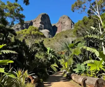 Descubra o Geossítio Floresta Petrificada em Missão Velha: Um Tesouro Natural Descubra o Geossítio Floresta Petrificada em Missão Velha: Um Tesouro Natural