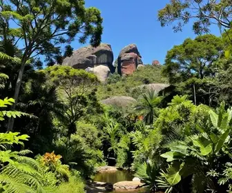 Descubra o Parque Estadual Sítio Fundão: natureza exuberante em Crato Descubra o Parque Estadual Sítio Fundão: natureza exuberante em Crato