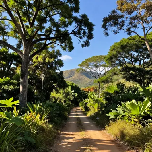 Descubra o Parque Estadual Sítio Fundão Descubra o Parque Estadual Sítio Fundão