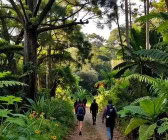 Explorando a Trilha das Corujas em Crato – CE: Aventura e Natureza Explorando a Trilha das Corujas em Crato - CE: Aventura e Natureza