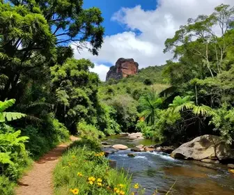 Explorando o Rio Batateiras: Natureza e Aventura no Crato – CE Explorando o Rio Batateiras: Natureza e Aventura no Crato - CE