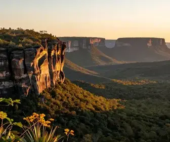 Explore o Circuito dos Geossítios do Araripe em Crato – CE Explore o Circuito dos Geossítios do Araripe em Crato - CE