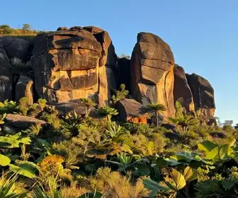 Geossítio Pedra Cariri: Maravilha Natural de Nova Olinda Geossítio Pedra Cariri: Maravilha Natural de Nova Olinda