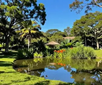 Refúgio de Vida Silvestre Soldadinho-do-Araripe: Um Paraíso Natural em Crato Refúgio de Vida Silvestre Soldadinho-do-Araripe: Um Paraíso Natural em Crato